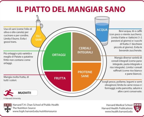 Il Piatto del Mangiar Sano Nutrizionista a Riccione e Rimini